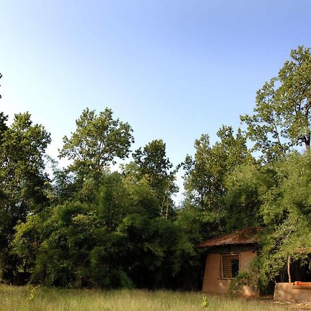 Mahua Kothi, Bandhavgarh National Park Hotell Tāla Exteriör bild