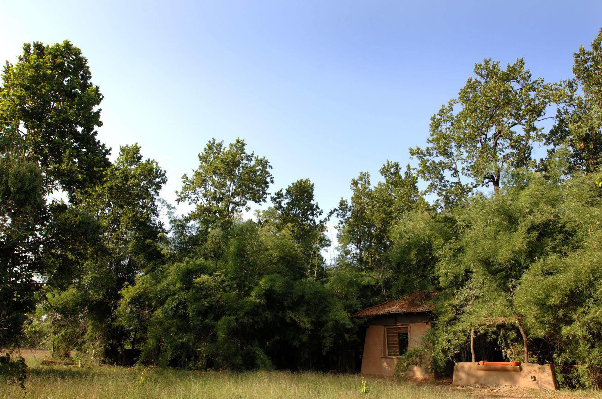 Mahua Kothi, Bandhavgarh National Park Hotell Tāla Exteriör bild